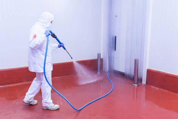 Best Spring Cleaning  in Strawberry, CA